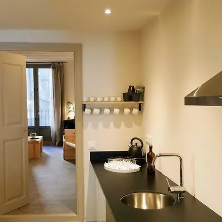 Apartament El Jardinet De Sant Esteve Olot