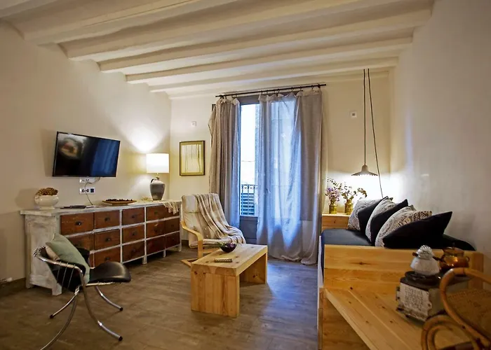 El Jardinet De Sant Esteve Apartment Olot